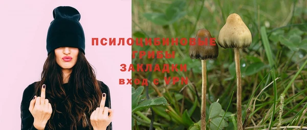 mdpv Бородино