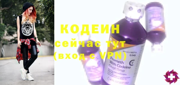 mdpv Бородино