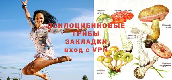 каннабис Богородицк