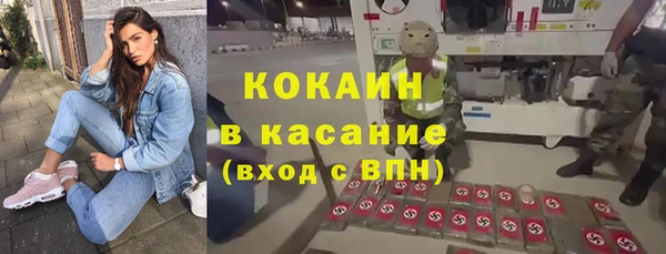 mdpv Бородино