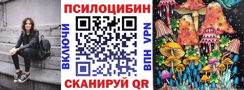 Купить  Канаш  Галлюциногенные грибы прущие грибы 