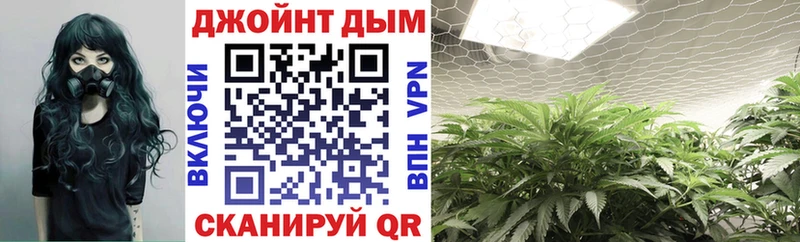 Каннабис планчик  Купить где  Канаш 